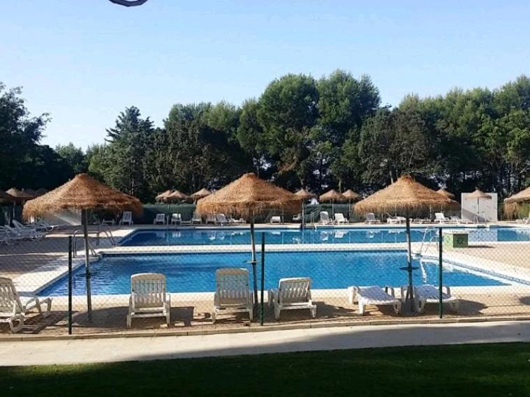 Carpe Diem Studio Benalmádena Dış mekan fotoğraf